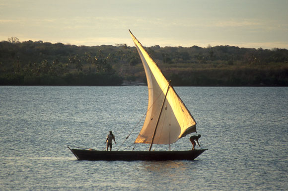 Dhow on the Bay